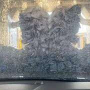 ヒメ日記 2026/02/17 17:05 投稿 まい/Mai VERY（ヴェリィ)