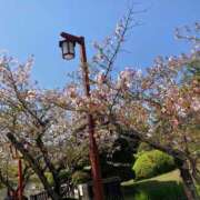 ヒメ日記 2026/03/19 14:11 投稿 まい/Mai VERY（ヴェリィ)