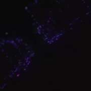 ヒメ日記 2026/05/15 10:53 投稿 まい/Mai VERY（ヴェリィ)