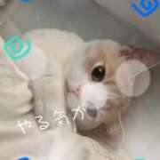 ヒメ日記 2026/06/20 19:06 投稿 まい/Mai VERY（ヴェリィ)