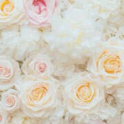 ヒメ日記 2024/12/12 19:42 投稿 赤峰しほ 禁断のメンズエステR-18堺・南大阪店