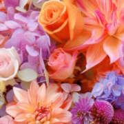 ヒメ日記 2024/12/13 19:33 投稿 赤峰しほ 禁断のメンズエステR-18堺・南大阪店