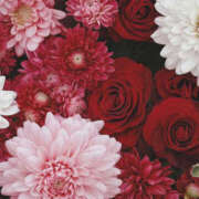 ヒメ日記 2024/12/14 02:36 投稿 赤峰しほ 禁断のメンズエステR-18堺・南大阪店