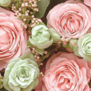 ヒメ日記 2024/12/20 01:36 投稿 赤峰しほ 禁断のメンズエステR-18堺・南大阪店