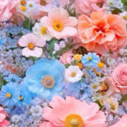 ヒメ日記 2024/12/20 19:36 投稿 赤峰しほ 禁断のメンズエステR-18堺・南大阪店