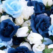 ヒメ日記 2024/12/21 01:48 投稿 赤峰しほ 禁断のメンズエステR-18堺・南大阪店