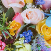 ヒメ日記 2024/12/21 19:27 投稿 赤峰しほ 禁断のメンズエステR-18堺・南大阪店