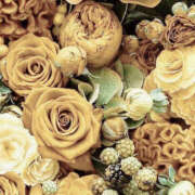 ヒメ日記 2024/12/22 01:27 投稿 赤峰しほ 禁断のメンズエステR-18堺・南大阪店