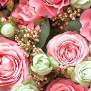 ヒメ日記 2024/12/26 19:33 投稿 赤峰しほ 禁断のメンズエステR-18堺・南大阪店