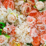 ヒメ日記 2024/12/27 01:06 投稿 赤峰しほ 禁断のメンズエステR-18堺・南大阪店