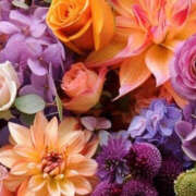 ヒメ日記 2024/12/28 00:57 投稿 赤峰しほ 禁断のメンズエステR-18堺・南大阪店