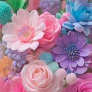 ヒメ日記 2025/01/17 01:57 投稿 赤峰しほ 禁断のメンズエステR-18堺・南大阪店