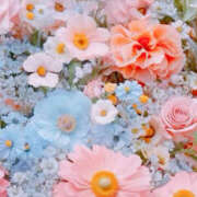 ヒメ日記 2025/01/23 19:33 投稿 赤峰しほ 禁断のメンズエステR-18堺・南大阪店