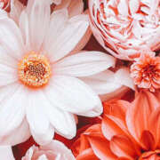 ヒメ日記 2025/01/24 02:33 投稿 赤峰しほ 禁断のメンズエステR-18堺・南大阪店