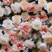 ヒメ日記 2025/01/25 01:27 投稿 赤峰しほ 禁断のメンズエステR-18堺・南大阪店