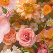 ヒメ日記 2025/01/31 19:36 投稿 赤峰しほ 禁断のメンズエステR-18堺・南大阪店