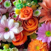 ヒメ日記 2025/02/14 02:06 投稿 赤峰しほ 禁断のメンズエステR-18堺・南大阪店