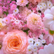 ヒメ日記 2025/02/14 19:36 投稿 赤峰しほ 禁断のメンズエステR-18堺・南大阪店