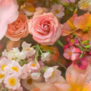 ヒメ日記 2025/02/28 01:12 投稿 赤峰しほ 禁断のメンズエステR-18堺・南大阪店