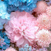 ヒメ日記 2025/03/07 19:33 投稿 赤峰しほ 禁断のメンズエステR-18堺・南大阪店