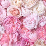 ヒメ日記 2025/03/08 02:27 投稿 赤峰しほ 禁断のメンズエステR-18堺・南大阪店