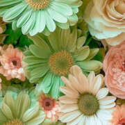 ヒメ日記 2025/03/13 19:36 投稿 赤峰しほ 禁断のメンズエステR-18堺・南大阪店