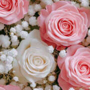 ヒメ日記 2025/03/21 02:12 投稿 赤峰しほ 禁断のメンズエステR-18堺・南大阪店