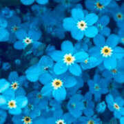 ヒメ日記 2025/04/04 19:36 投稿 赤峰しほ 禁断のメンズエステR-18堺・南大阪店