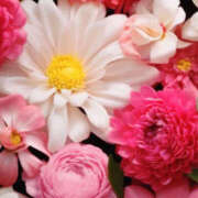 ヒメ日記 2025/05/02 02:12 投稿 赤峰しほ 禁断のメンズエステR-18堺・南大阪店