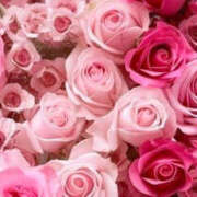 赤峰しほ こんばんはー 禁断のメンズエステR-18堺・南大阪店