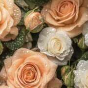 ヒメ日記 2026/03/13 03:04 投稿 赤峰しほ 禁断のメンズエステR-18堺・南大阪店