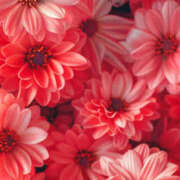 ヒメ日記 2026/03/21 01:44 投稿 赤峰しほ 禁断のメンズエステR-18堺・南大阪店