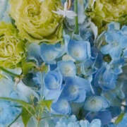 ヒメ日記 2026/03/27 02:58 投稿 赤峰しほ 禁断のメンズエステR-18堺・南大阪店