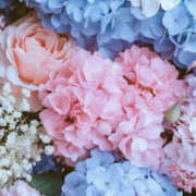 ヒメ日記 2026/04/03 00:44 投稿 赤峰しほ 禁断のメンズエステR-18堺・南大阪店