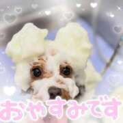 ヒメ日記 2025/07/23 09:45 投稿 ルミ CLUB MECCA（クラブメッカ）