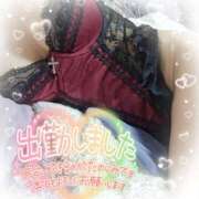 ヒメ日記 2025/09/29 17:45 投稿 ルミ CLUB MECCA（クラブメッカ）