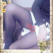 ヒメ日記 2025/03/08 19:35 投稿 みさき 熟女家 東大阪店（布施・長田）