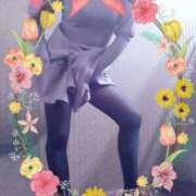 ヒメ日記 2025/03/19 19:25 投稿 みさき 熟女家 東大阪店（布施・長田）