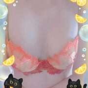 ヒメ日記 2025/04/19 08:16 投稿 みさき 熟女家 東大阪店（布施・長田）