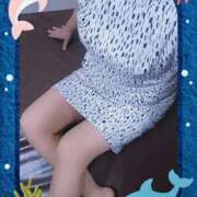 ヒメ日記 2025/08/06 19:15 投稿 みさき 熟女家 東大阪店（布施・長田）