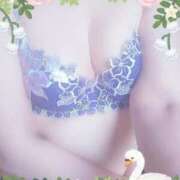 ヒメ日記 2025/11/29 19:25 投稿 みさき 熟女家 東大阪店（布施・長田）