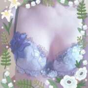 ヒメ日記 2026/02/15 19:05 投稿 みさき 熟女家 東大阪店（布施・長田）