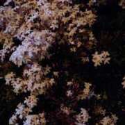 ヒメ日記 2025/04/28 23:59 投稿 りさ スイカ