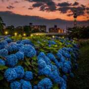 ヒメ日記 2025/06/21 21:34 投稿 りさ スイカ