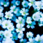 ヒメ日記 2024/12/11 22:12 投稿 萌奈(モナ) グランドオペラ名古屋