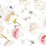 ヒメ日記 2025/01/05 20:49 投稿 萌奈(モナ) グランドオペラ名古屋