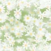 ヒメ日記 2025/01/06 19:31 投稿 萌奈(モナ) グランドオペラ名古屋