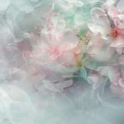 ヒメ日記 2025/03/10 14:19 投稿 萌奈(モナ) グランドオペラ名古屋