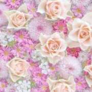 ヒメ日記 2025/04/03 20:19 投稿 萌奈(モナ) グランドオペラ名古屋