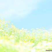 ヒメ日記 2025/04/29 22:58 投稿 萌奈(モナ) グランドオペラ名古屋